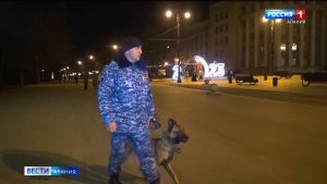 МВД: новогодняя ночь в Северной Осетии прошла без правонарушений