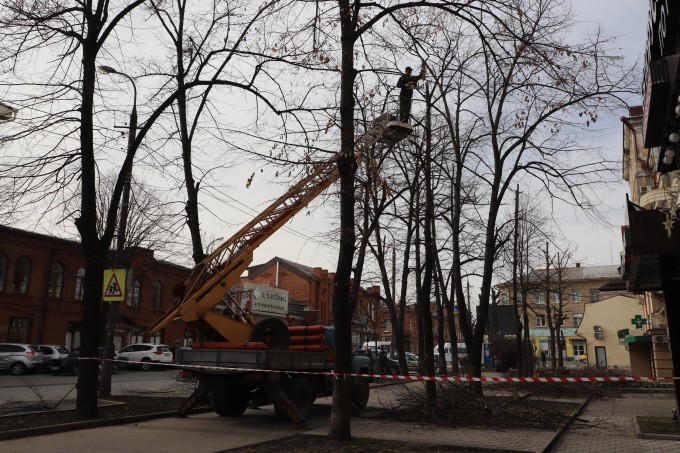 Во Владикавказе продолжается санитарная обрезка деревьев
