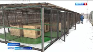 Дзæуджыхъæуы питомникы арæзт æрцыдысты 110 ног вольеры
