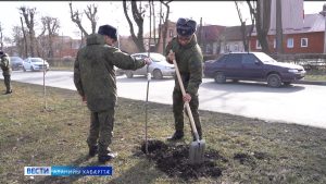 Дзæуджыхъæуы ныссагътой бирæ тала бæлæстæ