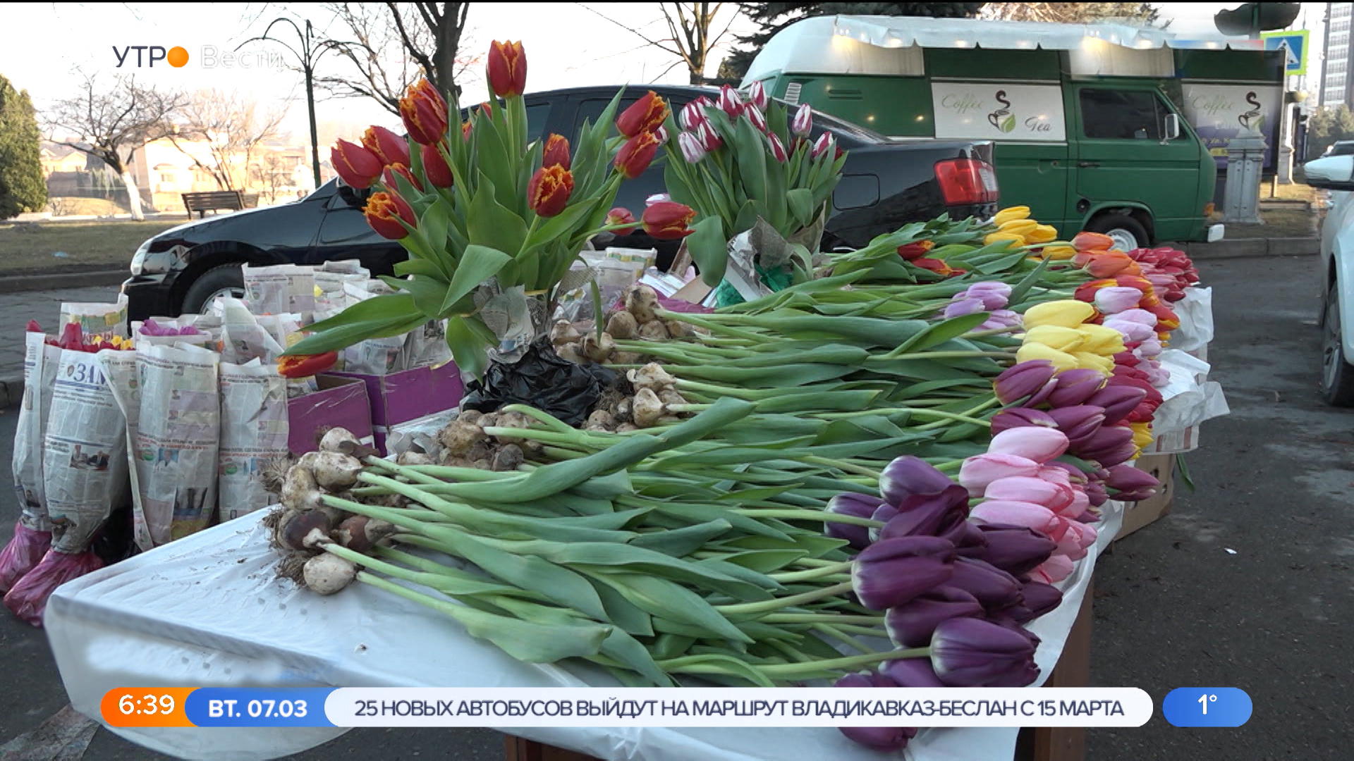 Где В Магазине Купить Тюльпаны Мурино