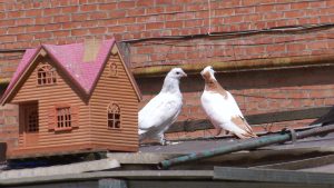 Æмбалты Георгий 80 азы дары бæлæттæ