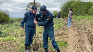 Æппæтадæмон акци «Сады памяти»-йы картæйы фæзынд ног бынат