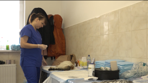 Новосибирскы волонтертæ 200 операцийы лæвар скодтой дзæгъæл цæрæгойтæн