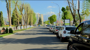 Сегодня в центре Владикавказа будет ограничено движение транспорта