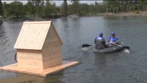 На озере в Парке Победы Моздока установили домик для лебедей