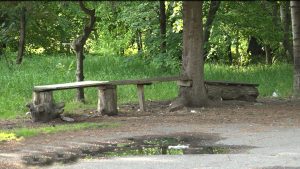 В Северной Осетии продолжается голосование за объекты благоустройства