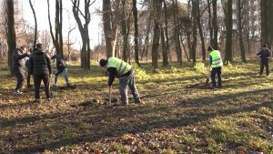 «Горæты æнцонвадат цард»-ы программæйы фæрцы цы территоритæм базилдзысты, уыдоныл хъæлæс кæныны процедурæ кæронмæ рхæццæ