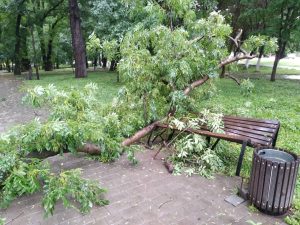 Коммунальные службы устраняют последствия сильного дождя с градом и ветром во Владикавказе