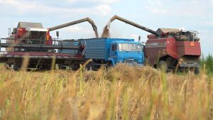 В Моздокском районе продолжается сезонный сбор урожая