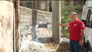 Мызуры цæрджытæ тыхсынц сæ уавæртæй