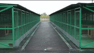 Дзæуджыхъæуы питомникы фæзынд 150 ног вольеры