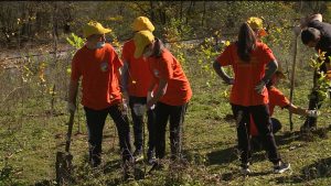 Æппæтуæрæсеон акци «Бахъахъхъæнæм хъæды» домæнтæ æххæст кæнгæйæ, Цæгат Ирыстоны ныссаддзысты 11 мин бæласæй фылдæр