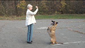 Дзæуджыхъæуы куыйты чи дары, уыдон зындзинæдтæ æййафынц сæ цæрæгойты тезгъо кæнынмæ кæдæм ракæной, ахæм бынæттæ кæй нæй, уыимæ