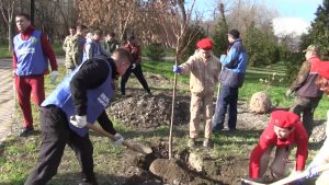 Патриотон акци «За наших. За мир. За Россию» æххæст кæнгæйæ, Мæздæджы ныссагътой сусхъæды аллейæ