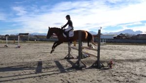 Первенство Владикавказа по конному спорту прошло в республиканской конно-спортивной школе