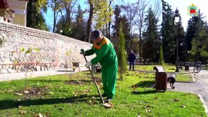 Во Владикавказе высадили кустарники магнолии, саженцы черемухи и кипарисов