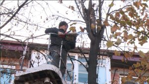 Дзæуджыхъæуы æрæджы цы тыхджын дымгæ уыд, уый аххосæй горæты алы районты акалдысты 10 бæласы онг