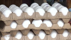 В УФАС по Северной Осетии прокомментировали ситуацию в ростом цен на куриные яйца