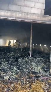 Владикавказские огнеборцы ликвидировали пожар на птицефабрике