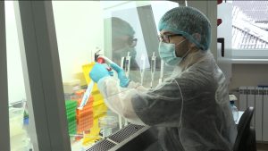 В Институте биомедицинских исследований ВНЦ РАН выращивают стволовые клетки и исследуют новые лекарственные препараты