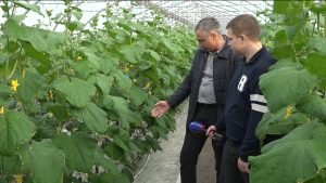 В Северной Осетии более 30 тепличных хозяйств получили гранты Минсельхоза