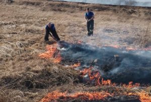 Пожарные ликвидируют возгорание сухой травы в районе поселка Спутник