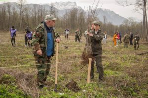 263,5 га леса высажено с 2019 года в Северной Осетии по федеральному проекту «Сохранение лесов»