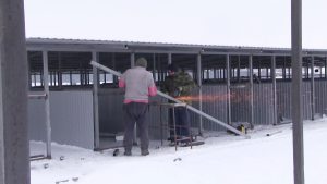 В Моздокском районе скоро начнет функционировать питомник для бездомных собак