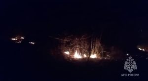 В Моздокском районе ликвидировали горение сухой растительности