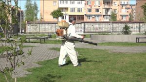 Осторожно, клещи! С начала апреля в Северной Осетии зафиксировали уже 55 случаев укусов этих насекомых