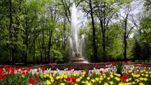 Около миллиона цветов украсят Владикавказ в этом году – АМС