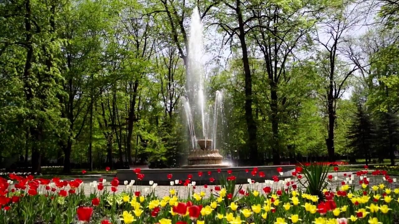 Около миллиона цветов украсят Владикавказ в этом году – АМС