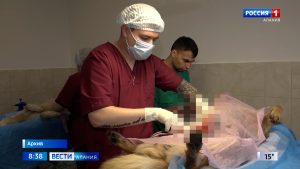 Специалисты «Базы реабилитации животных» из Новосибирска снова во Владикавказе