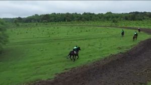 Хæзныдоны цæрджытæ бацархайдтой сæ кадджын хистæры номыл бæхтыл дугъ ауадзыныл