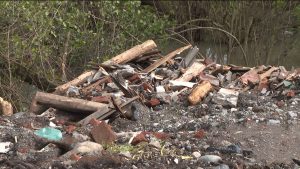 Адæмон фронт сарæзта, мемориалон комплекс «Барбашовы фæз»-ы фæстæ Адеты æфсымæрты уынджы мониторинг