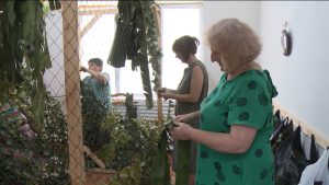 Цæгат Ирыстоны волонтертæ æдзухдæр æххуыс кæнынц сæрмагонд æфсæддон операцийы хæстонтæн