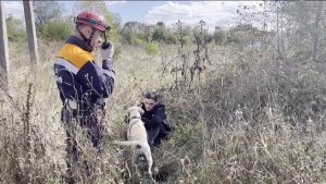Сæ профессионалон бон сбæрæг кодтой Уæрæсейы æнæнхъæлæджы уавæрты министрады кинологон службæйы кусджытæ