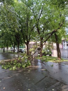 Во Владикавказе прошел сильный ливень с градом и шквалистым ветром