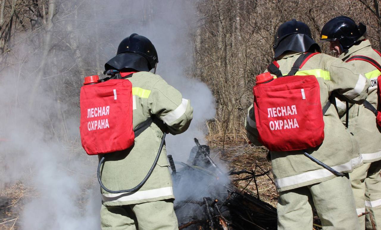 В 10 населенных пунктах Северной Осетии действует особый противопожарный режим