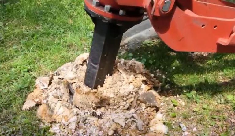 Во Владикавказе ведутся работы по выкорчевыванию пней, оставшихся после сноса аварийных деревьев