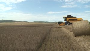 Рахизфарсы районы аграрон кусджытæ фæвæййынц расп æфснайæн куыстытæ