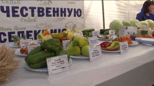 2024-æм азы быдыры бон