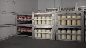 Дзæуджыхъæуы сывæллæттæн æхсырæй хойрæгтæ кæм цæттæ кæнынц, уыцы цæлгæнæн кусы 100 азы онг