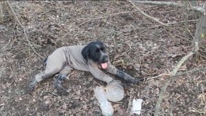 Фæсном «Лорд»-имæ куыдзы цымыдисаг истори радзырдта хæстон цауты ветеран Елхъанаты Сергей