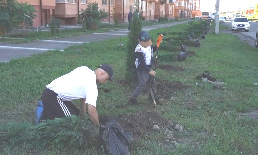 Во Владикавказе начинается сезон посадки зелёных насаждений