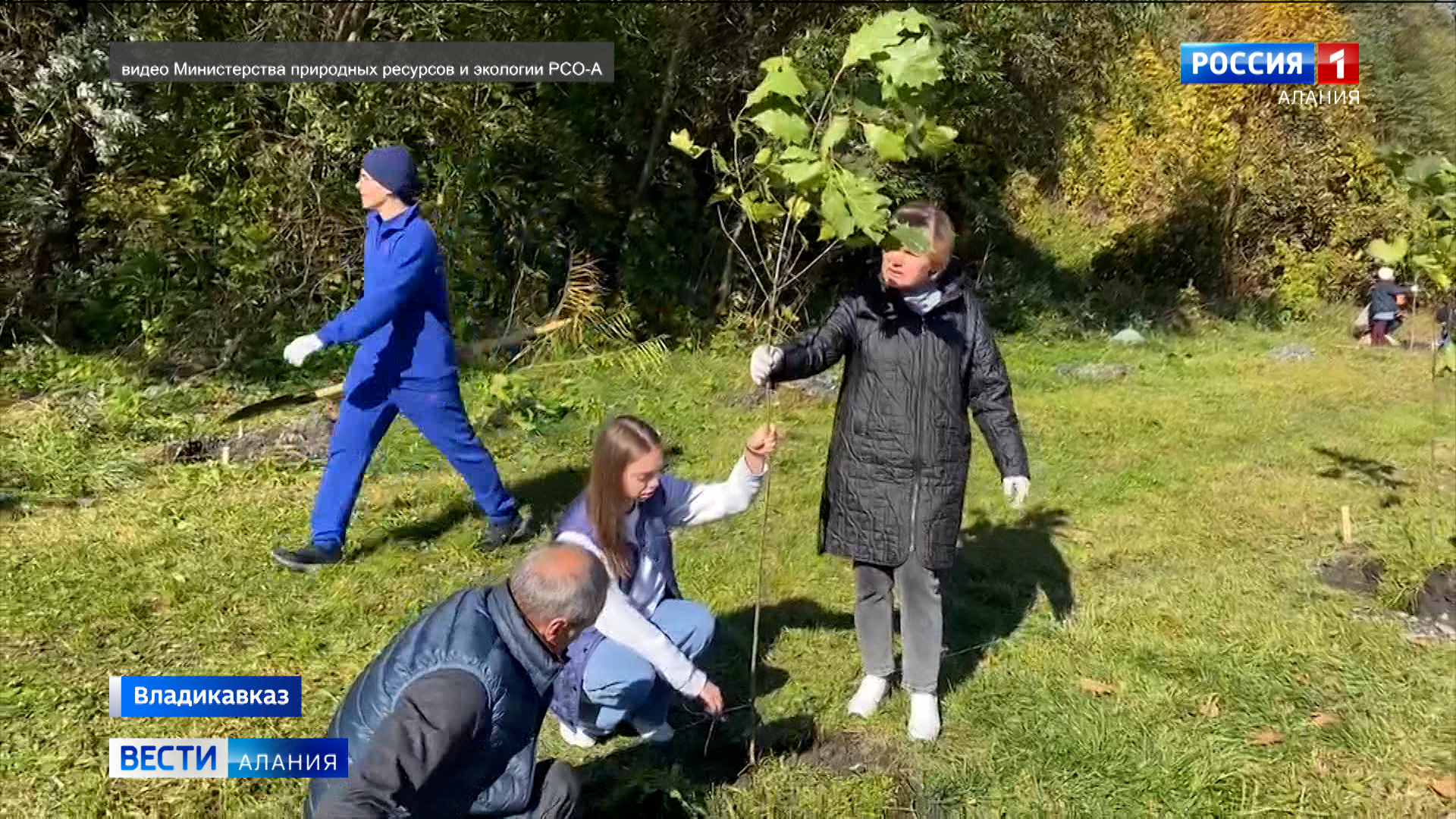 С начала года в Северной Осетии высажено более 160 тысяч деревьев С начала года в Северной Осетии высажено более 160 тысяч деревьев