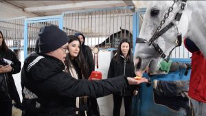 «Фыццæгты змæлды» республикон хайад æмæ бæхты-спортивон скъола иумæ сарæзтой экскурси, йе *нæниздзинад хъыгдард кæмæн у, ахæм сывæллæттæн