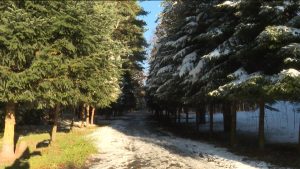 Дзæуджыхъæуы цæрджыты уарзон фæлладуадзæн бынатыл сæххæст 70 азы