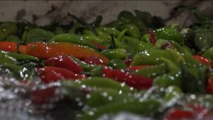 Йæ тæмæны бацыд цæхджынтæ кæныны рæстæг